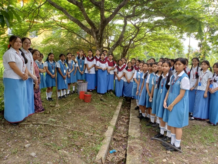 Eco activity