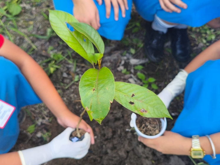Eco activity