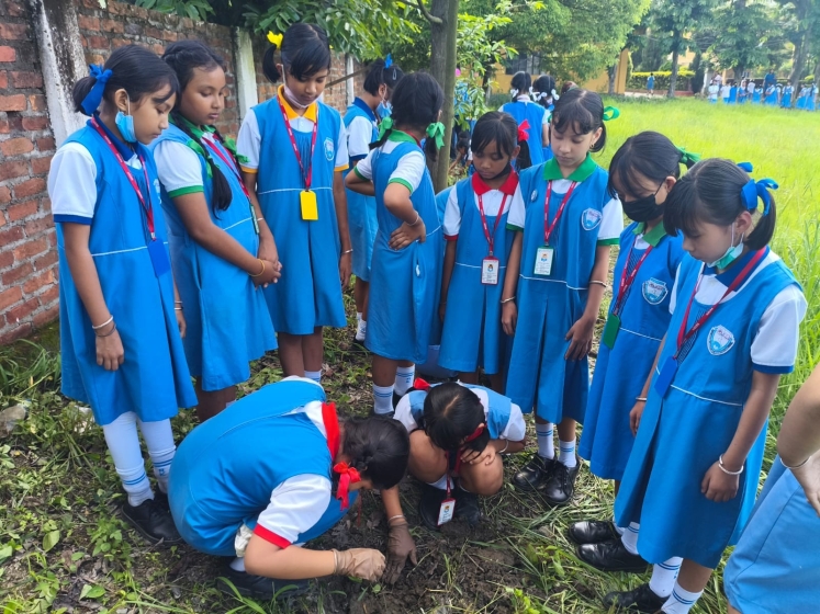 Eco activity